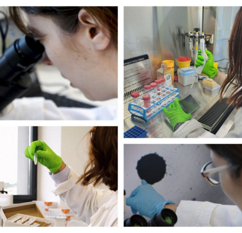 PredictCan Biotechnologies