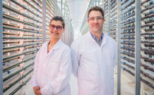 vis-microphyt-julie_person_vincent_usachea.viste_.jpg 