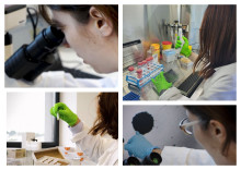 predictcan_montpellierentreprendre