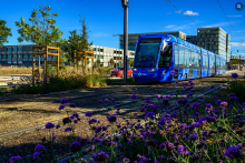 Cambacérès connecté au cœur de la métropole : le tramway ouvre la voie