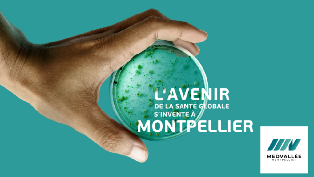 Cap sur MedVallée